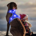 Load image into Gallery viewer, Light Up Dog Harness - No-Pull LED Dog Harness Glow in The Dark Dog Walking Harness Rechargeable Dog Vest Harness Dog Lights for Night Walking (Blue Large) - from For Animals, With Love
