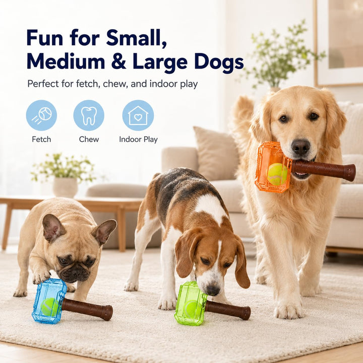 Supplier multi-size dog play graphic