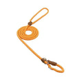Bild in Galerie-Betrachter laden, Nylon Pup Set Premium Leather Collar Leash Double Stitch Design by For Animals, With Love
