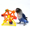 Bild in Galerie-Betrachter laden, FeatherFun Colorful Windmill Parrot Foraging Toy by For Animals, With Love
