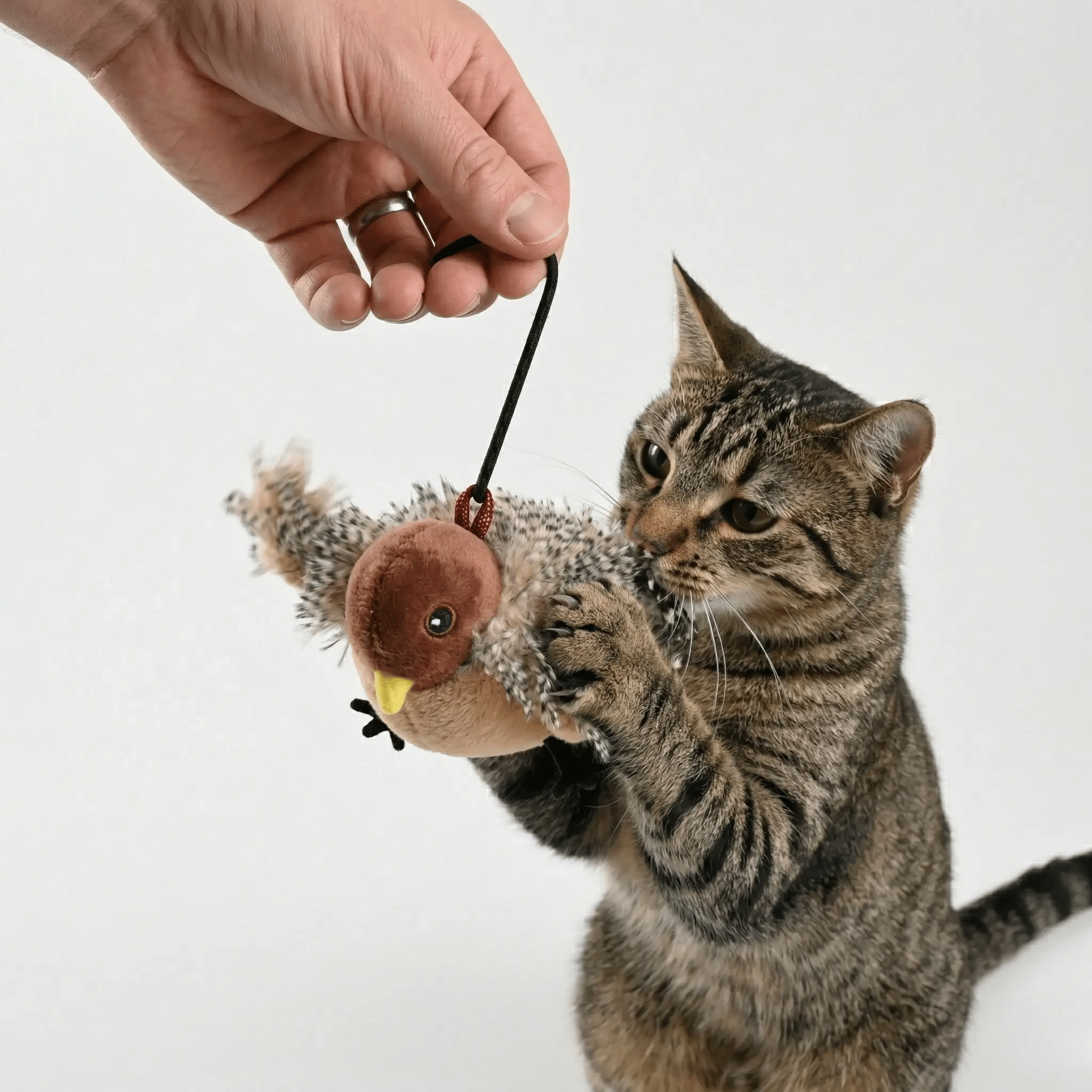 Flapping Bird Interactive Cat Toy With Realistic Wing Motion And Chirping Sounds For Indoor Play Engagement by Midfox