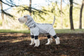 Load image into Gallery viewer, SOCKPET Spring Dog Rainproof Jacket, grey hooded waterproof raincoat for dogs with leg coverings, ideal for wet days
