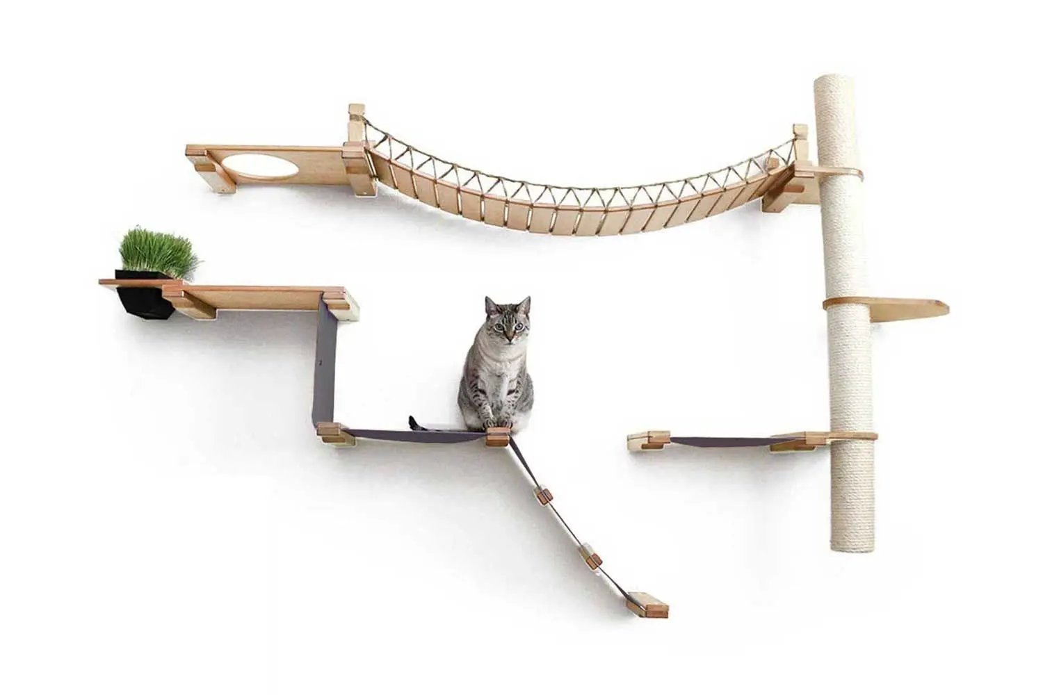 The Expedition Cat Jungle Gym Wall System cat condo; beige wood platforms, rope bridge, sisal post.