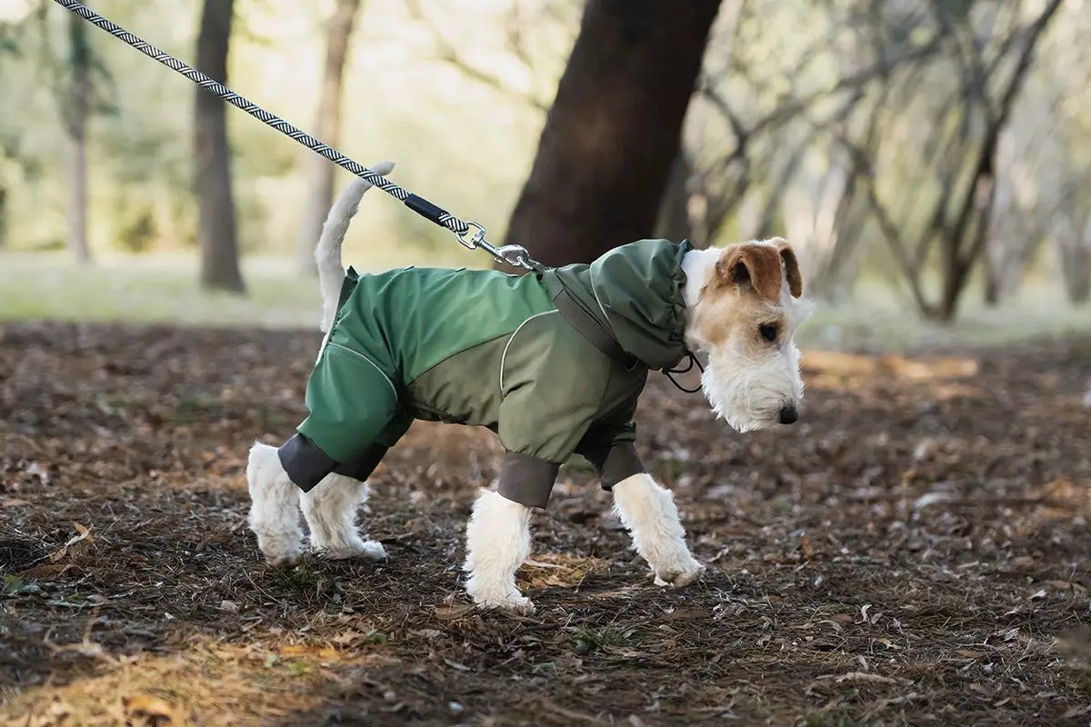 SOCKPET Spring Dog Rainproof Jacket, hooded green waterproof coat for pets
