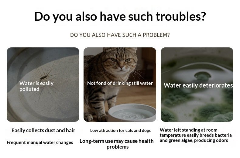 Supplier comparison graphic about pet drinking water