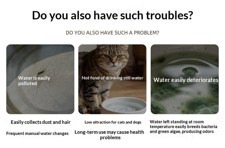 Supplier comparison graphic about pet drinking water