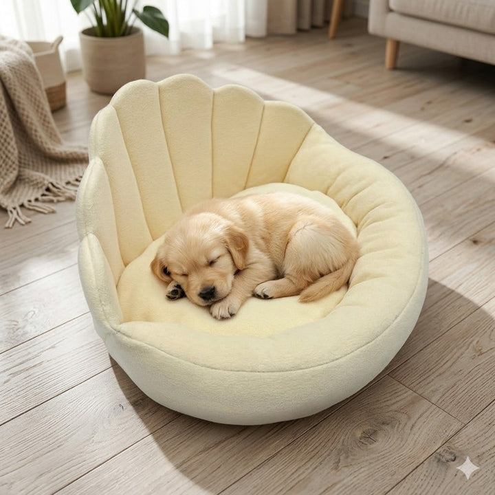Small dog in beige scalloped sofa bed