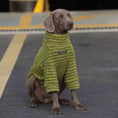 Load image into Gallery viewer, Soft and Warm Stripe Dog Sweater in olive green knit by SOCKPET
