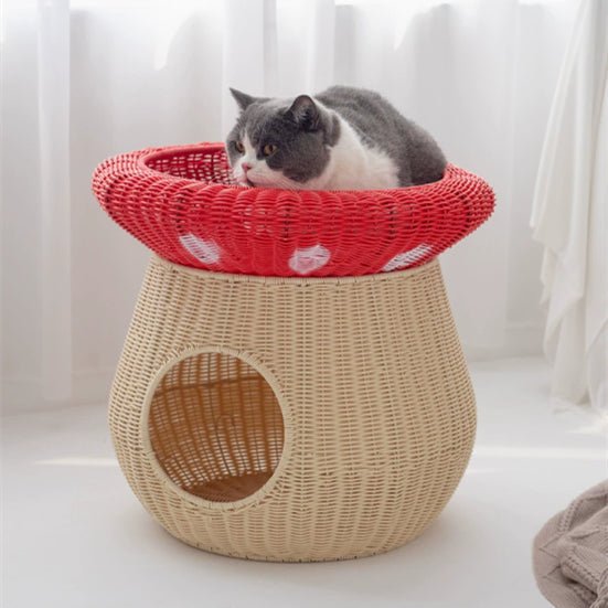 Cat lounging on the red upper basket of mushroom house