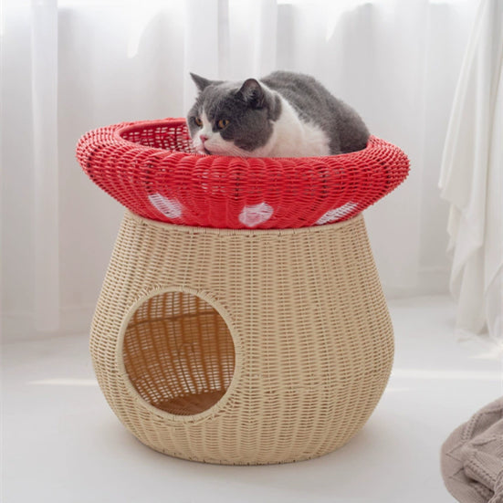 Cat lounging on the red upper basket of mushroom house