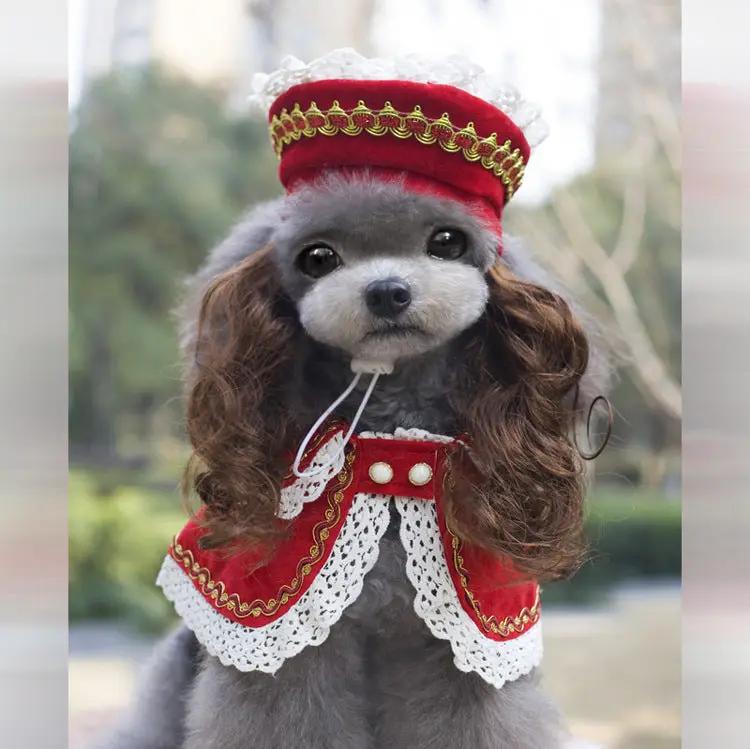 Dog Christmas costume, red velvet with white lace trim
