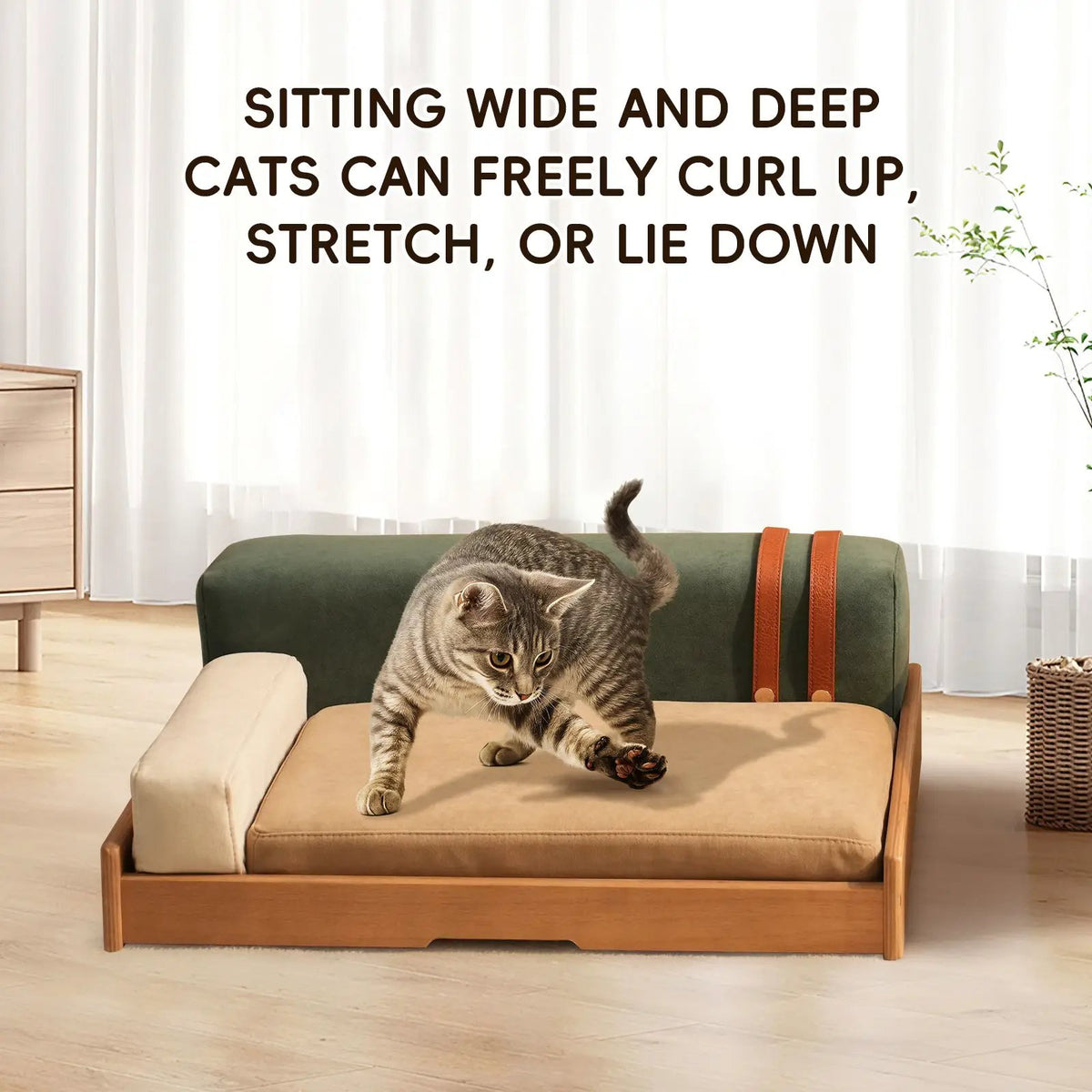 Modern wooden pet bed by Home Furnishers with beige cushion and sturdy frame, cat on it
