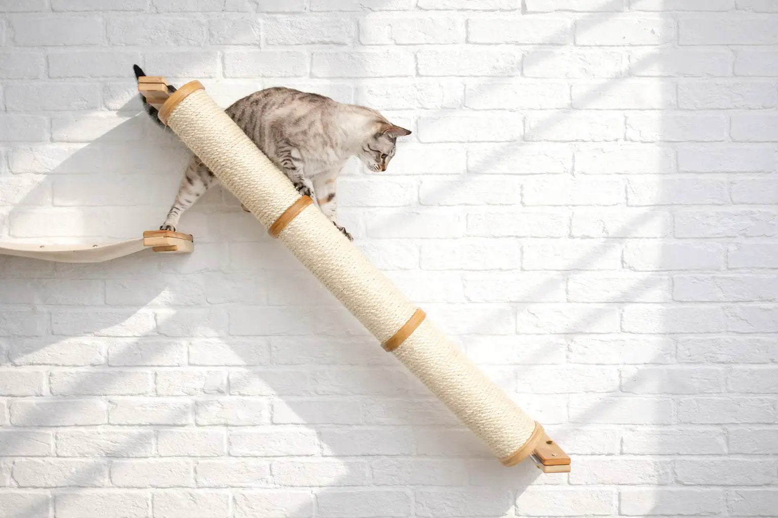 Slanted Cat Scratcher for Wall by Catastrophic Creations, beige sisal rope ramp with wood ends