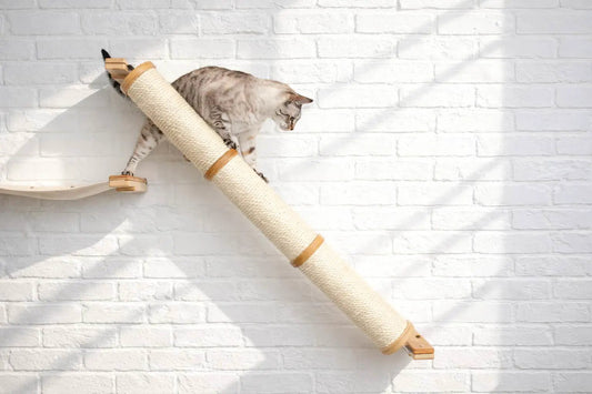 Slanted Cat Scratcher for Wall by Catastrophic Creations, beige sisal rope ramp with wood ends