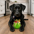 Cargar la imagen en la vista de la galería, Honey Pot Dog eCup Treat Dispenser | Durable PUP-X Rubber Enrichment Toy | USA Made
