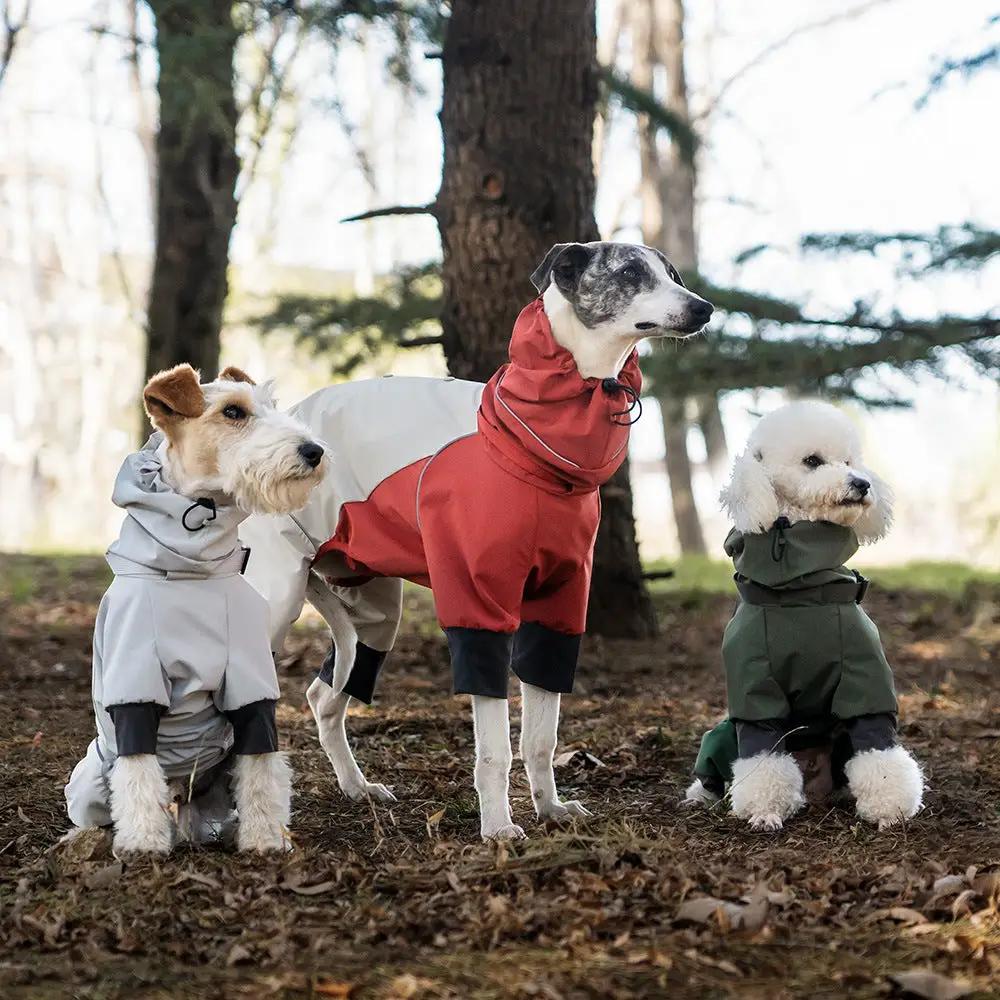 Spring Dog Rainproof Jacket by SOCKPET; three dogs wear gray, red and olive rain coats in a park.