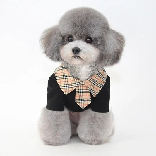 Dog clothes summer thin section small dog in stylish black polo shirt with plaid collar, perfect for warm weather.