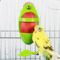 Carica l'immagine nel visualizzatore della galleria, Plastic Bird Food Rack With Cuttlefish Holder for Pets and Parrots by Sell My Stuff
