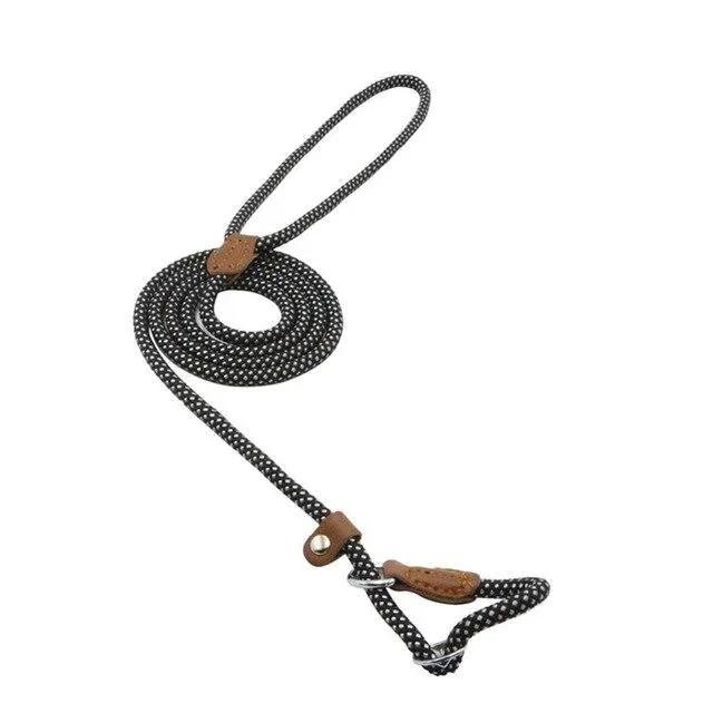 Nylon Pup Set Premium Leather Collar Leash Double Stitch Design by For Animals, With Love