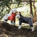 Load image into Gallery viewer, Spring Dog Rainproof Jacket SOCKPET; red and gray pet rain coats on two dogs outdoors.
