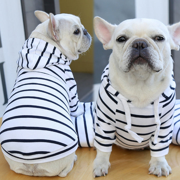 Dogs wearing black-and-white striped hoodies