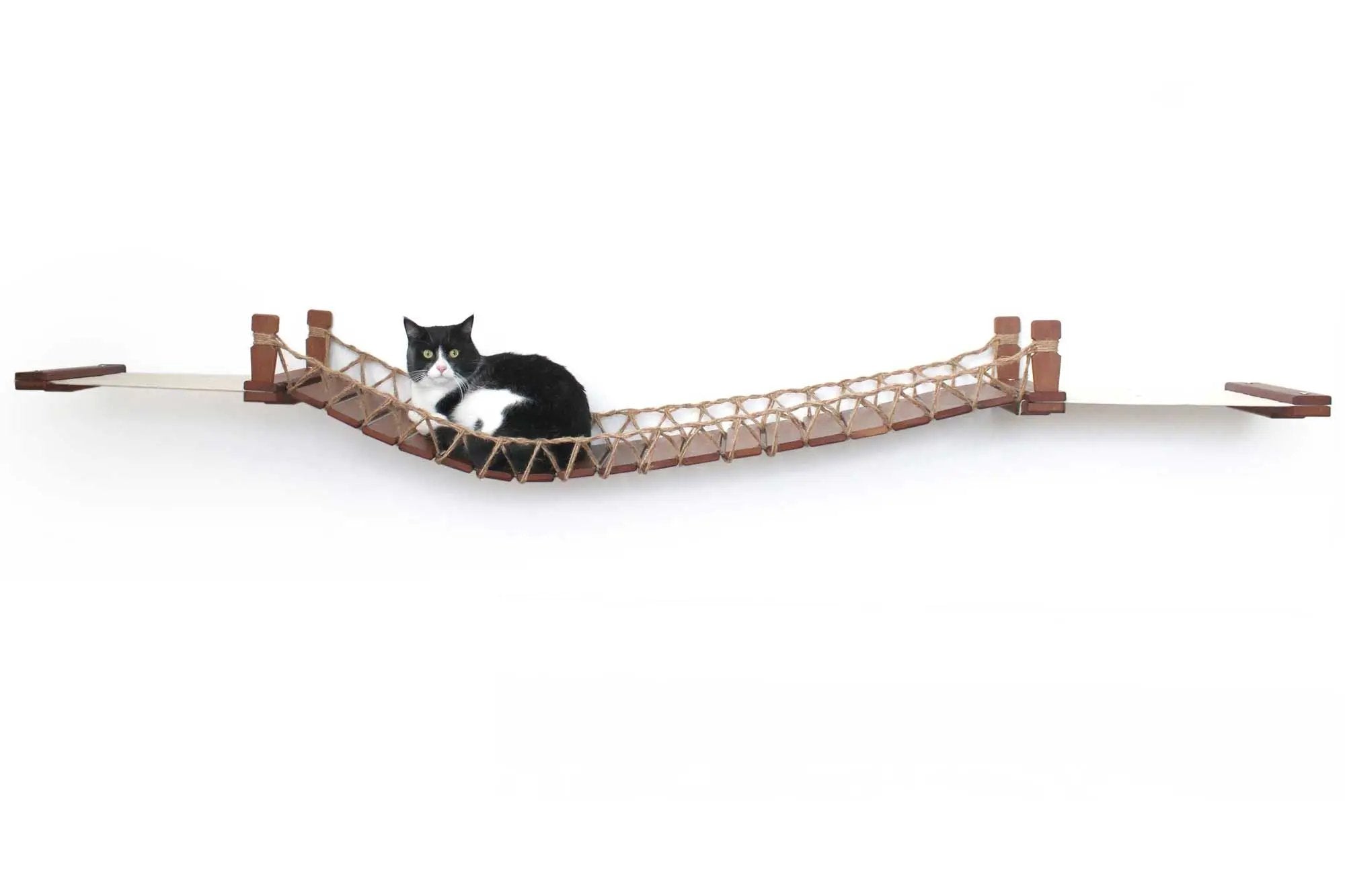 Double Cat Hammock and Climbing Bridge Combo by Catastrophic Creations, wooden frame with rope netting and a tuxedo cat.