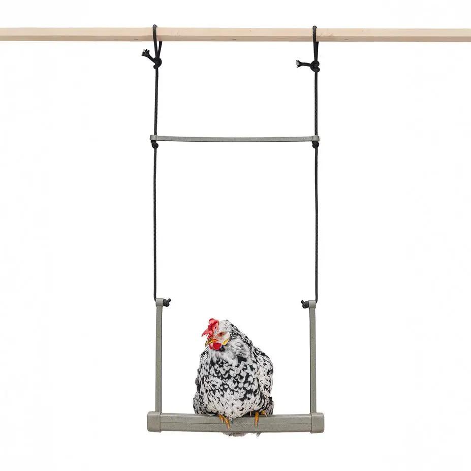 Backyard Chicken Swing – Durable, Recycled Material for Flock Activity