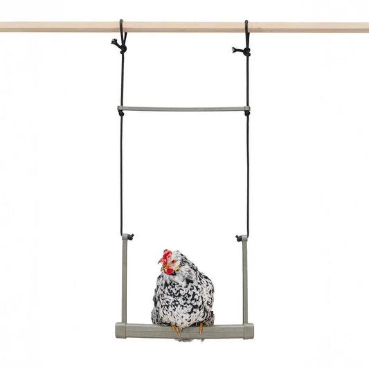 Backyard Chicken Swing – Durable, Recycled Material for Flock Activity