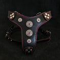 Bild in Galerie-Betrachter laden, The ''Bijou'' harness Black & Pink Small to Medium Size - Pet Collars & Harnesses from Bestia Dog Gear
