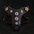 Carica l'immagine nel visualizzatore della galleria, The ''Bijou'' harness Black & Red Small to Medium Size - Pet Collars & Harnesses from Bestia Dog Gear
