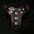 Charger l'image dans la visionneuse de la galerie, 'Bijou'' harness Black & Red for big dogs - Pet Collars & Harnesses from Bestia Dog Gear
