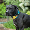Carica l'immagine nel visualizzatore della galleria, The BCW Limited Collar - Pet Collars & Harnesses from Bestia Dog Gear
