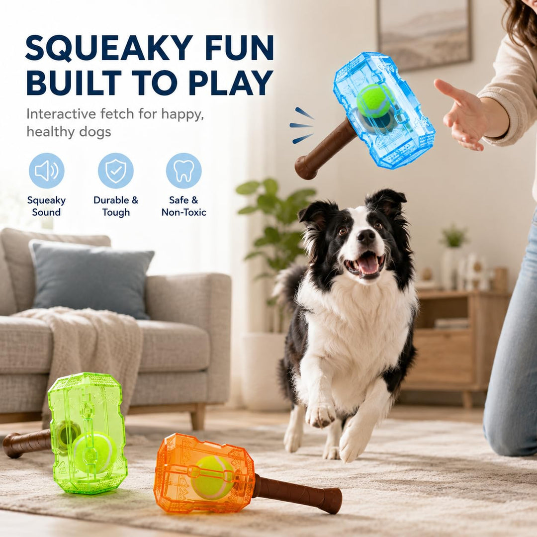 Supplier squeaker and interactive-play graphic