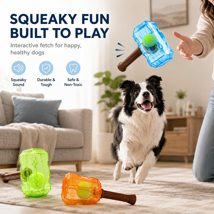 Supplier squeaker and interactive-play graphic