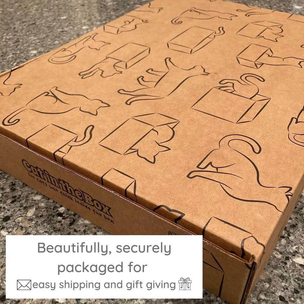 Spooky Cat Haunted House cardboard cat condo by Cat in the Box LLC; brown corrugated box with black cat illustrations.