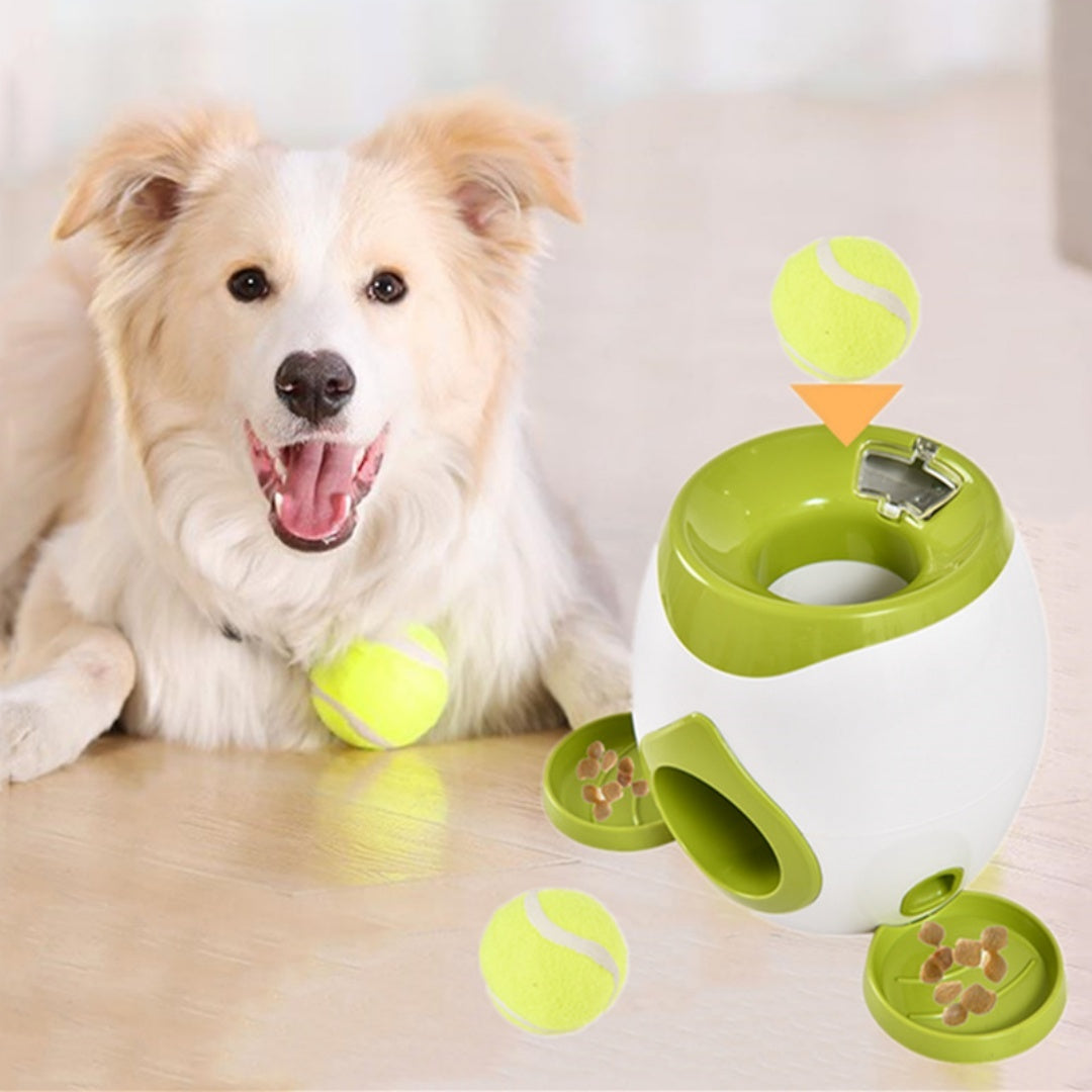 Dog beside green ball-return feeder