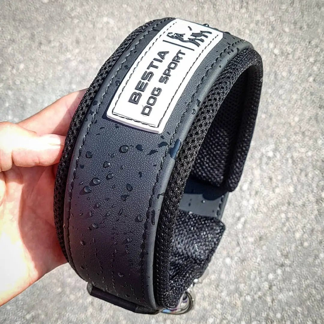BESTIA DOG SPORT COLLAR - Pet Collars & Harnesses from Bestia Dog Sport