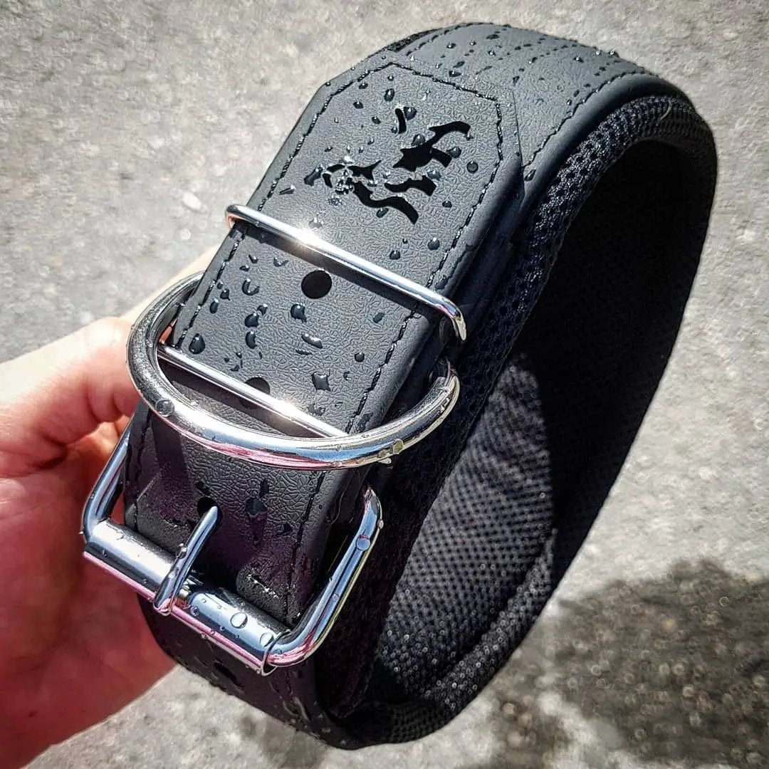 BESTIA DOG SPORT COLLAR - Pet Collars & Harnesses from Bestia Dog Sport
