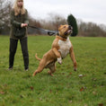 Bild in Galerie-Betrachter laden, BESTIA DOG SPORT dual handle leash - Pet Leashes from Bestia Dog Sport
