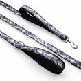 Bild in Galerie-Betrachter laden, BESTIA DOG SPORT dual handle leash - Pet Leashes from Bestia Dog Sport
