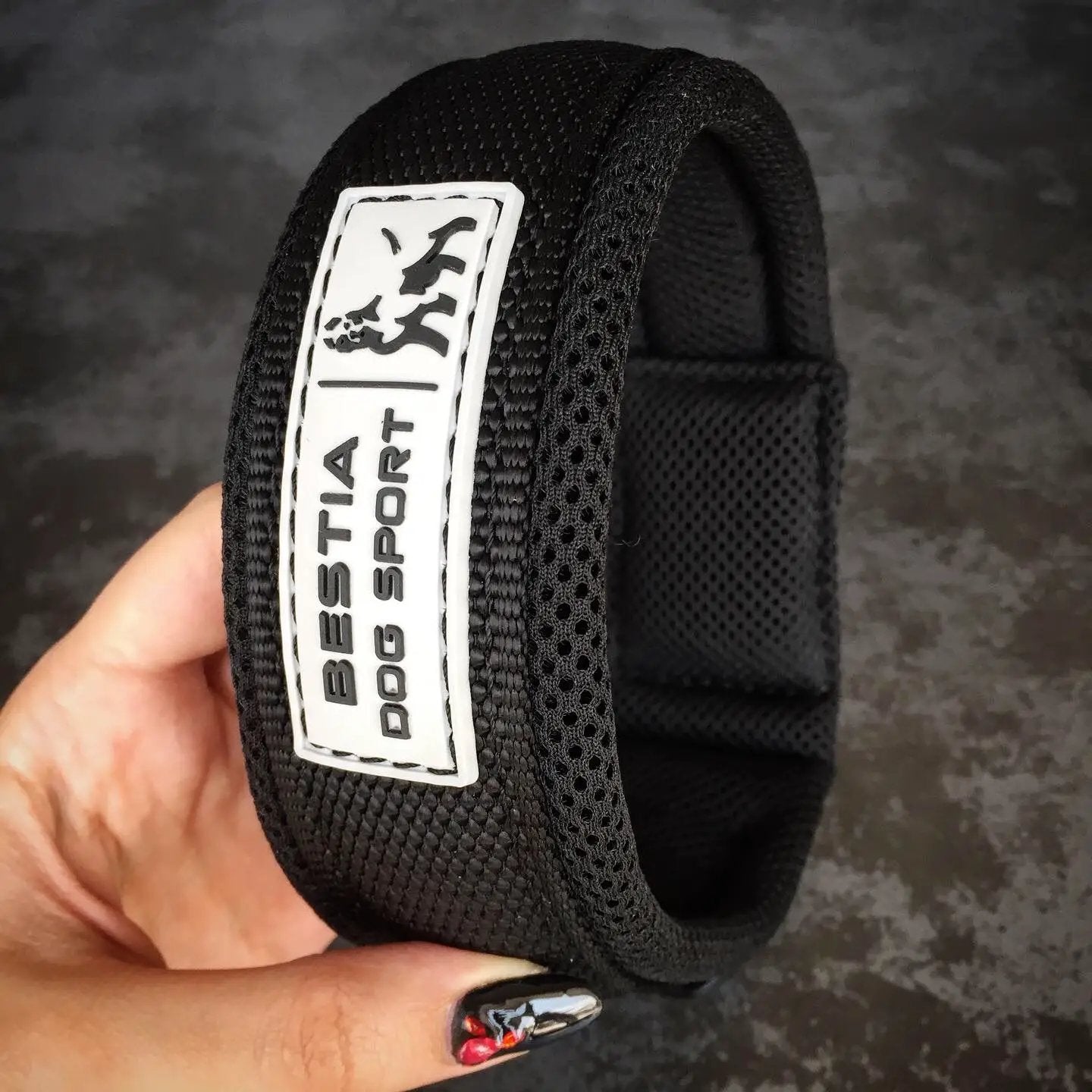 BESTIA DOG SPORT FAST RELEASE COLLAR BLACK - Pet Collars & Harnesses from Bestia Dog Sport