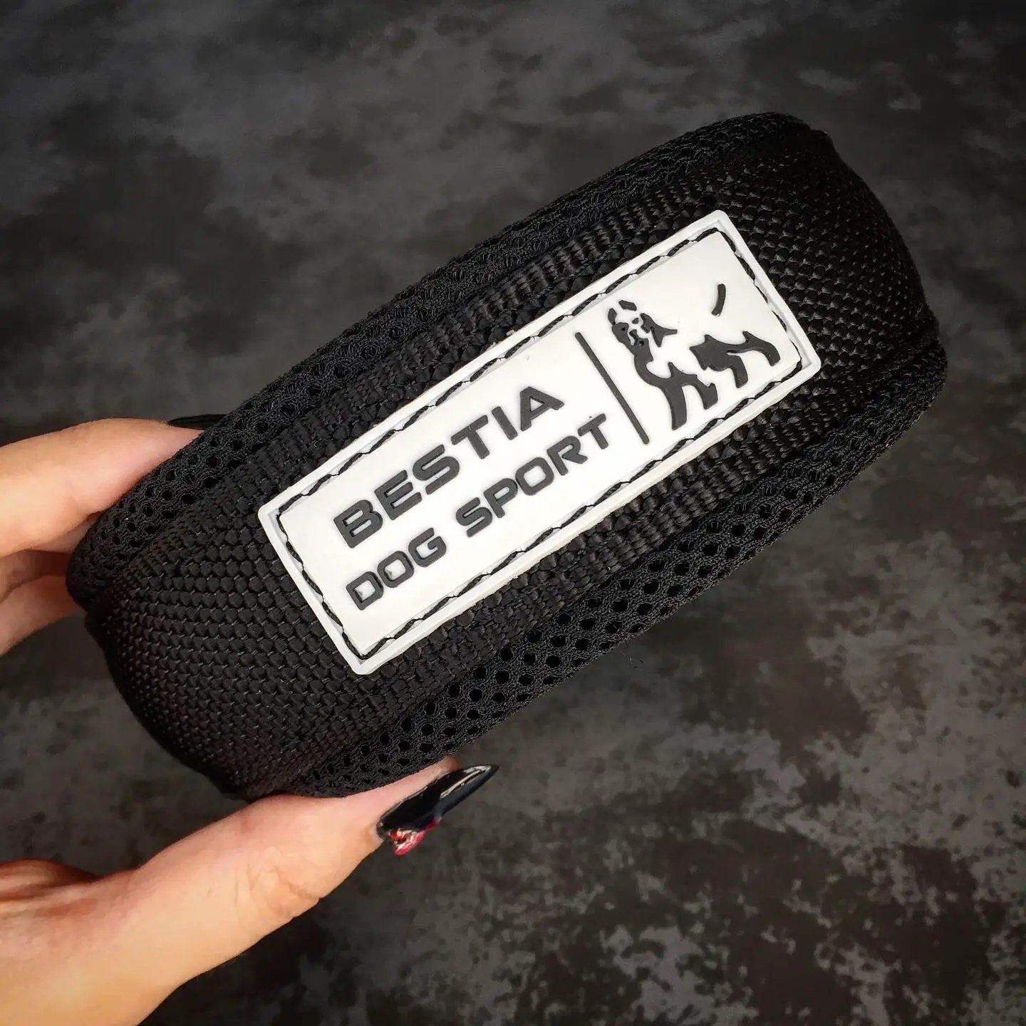 BESTIA DOG SPORT FAST RELEASE COLLAR BLACK & GOLD - Pet Collars & Harnesses from Bestia Dog Sport