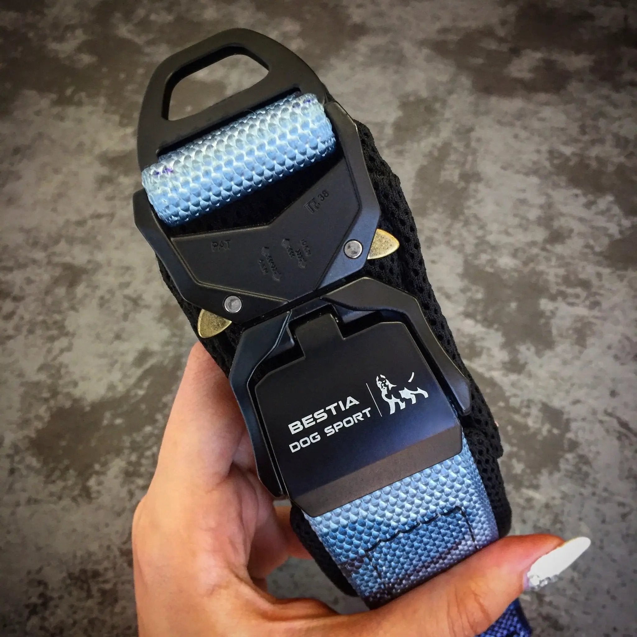 BESTIA DOG SPORT FAST RELEASE COLLAR BLUE - Pet Collars & Harnesses from Bestia Dog Sport