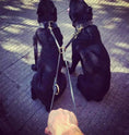 Load image into Gallery viewer, BESTIA DOG SPORT Multi Purpose Police Leash - Pet Leashes from Bestia Dog Sport
