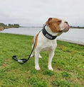 Cargar la imagen en la vista de la galería, Bestia Ultra Heavy Duty Tactical Dog Leash 5 Feet Padded Handle Screw Lock Carabiner 880 Pounds Capacity by Bestia Dog Sport
