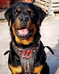 Charger l'image dans la visionneuse de la galerie, The ''Haunted'' harness LIMITED - Pet Collars & Harnesses from Bestia Dog Gear
