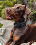 Carica l'immagine nel visualizzatore della galleria, 'BATMAN'' collar - Pet Collars & Harnesses from Bestia Dog Gear
