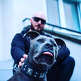 Load image into Gallery viewer, The all Black "Eros" collar 2.5 inch wide - Pet Collars & Harnesses from Bestia Dog Gear
