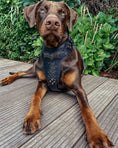 Load image into Gallery viewer, 'BATDOG'' HARNESS - Pet Collars & Harnesses from Bestia Dog Gear
