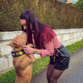 Load image into Gallery viewer, Bestia D'Albertis black and iridescent leather dog collar, view 8
